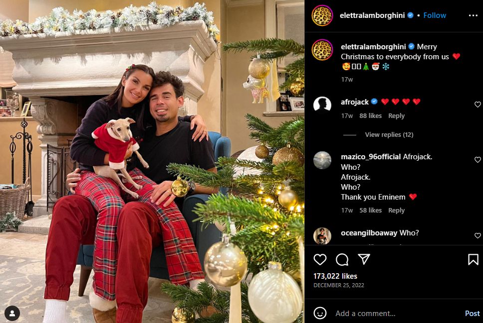 Elettra Lamborghini Vermogen