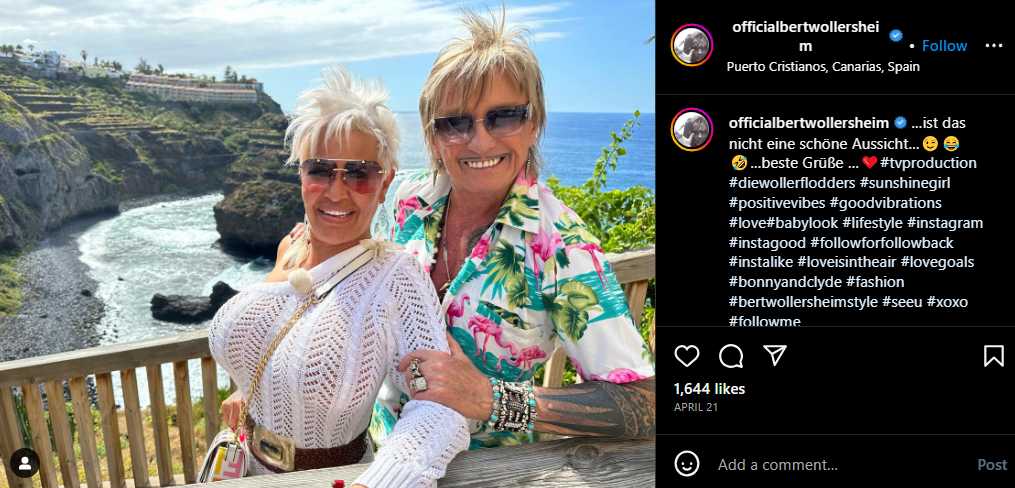 Bert Wollersheim Vermögen