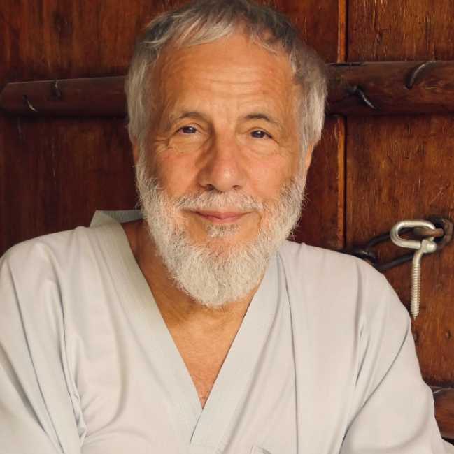 Cat Stevens Vermögen